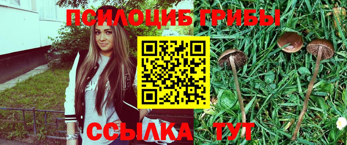 Псилоцибиновые грибы ЛСД Егорьевск
