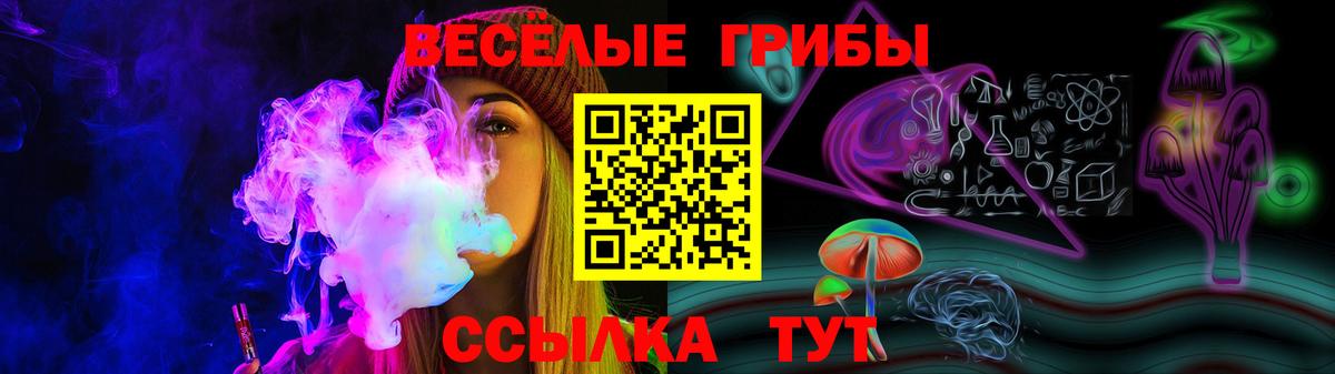 Егорьевск  Галлюциногенные грибы GOLDEN TEACHER  Псилоцибиновые грибы ЛСД  Вход с VPN 